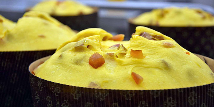 Lievitazione del panettone