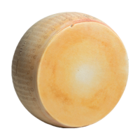 parmigiano reggiano forma