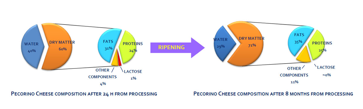Pecorino stagionatura